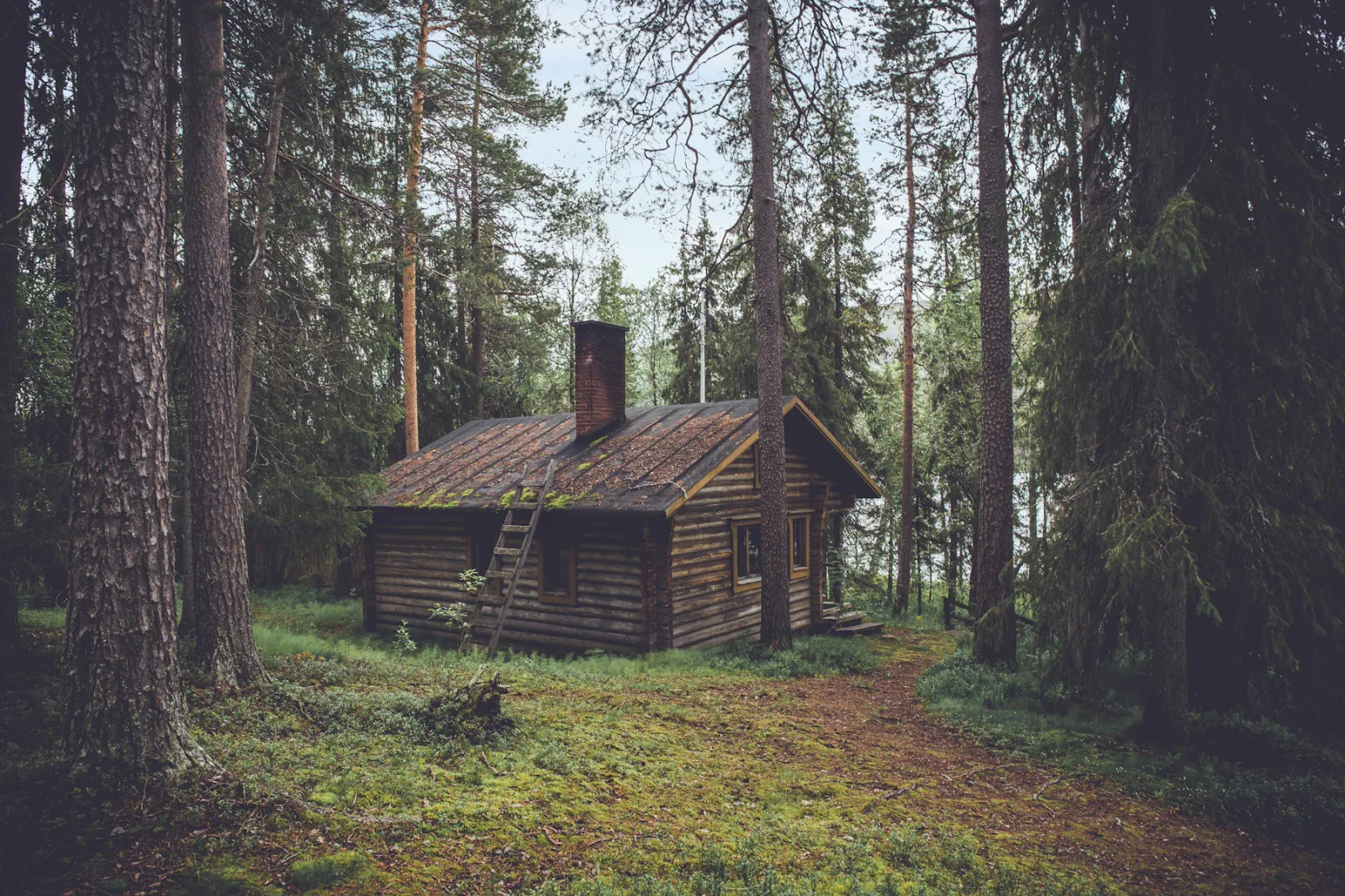 Cabin reference, not the advertised property