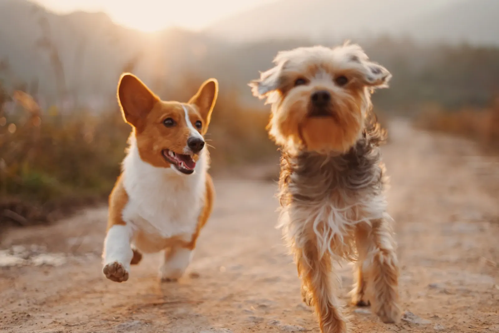 Outside, together — illustrative stock photograph
