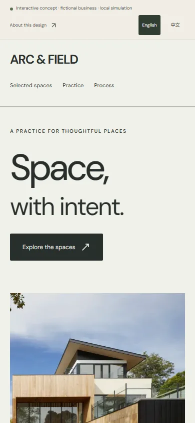 Actual mobile screenshot of this interactive concept website