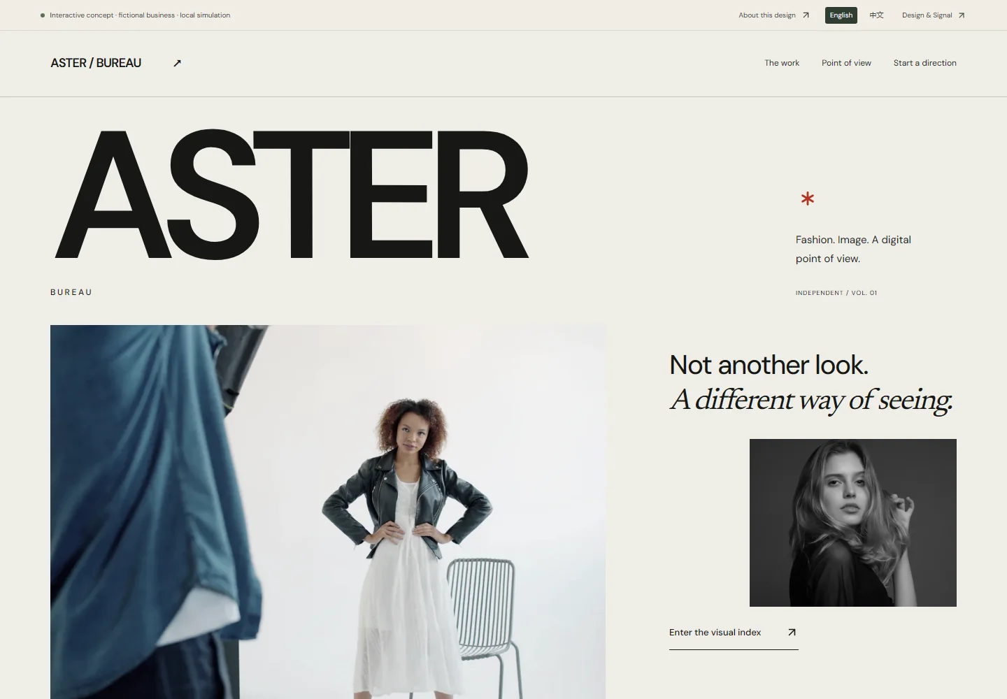 Actual desktop screenshot of this interactive concept website