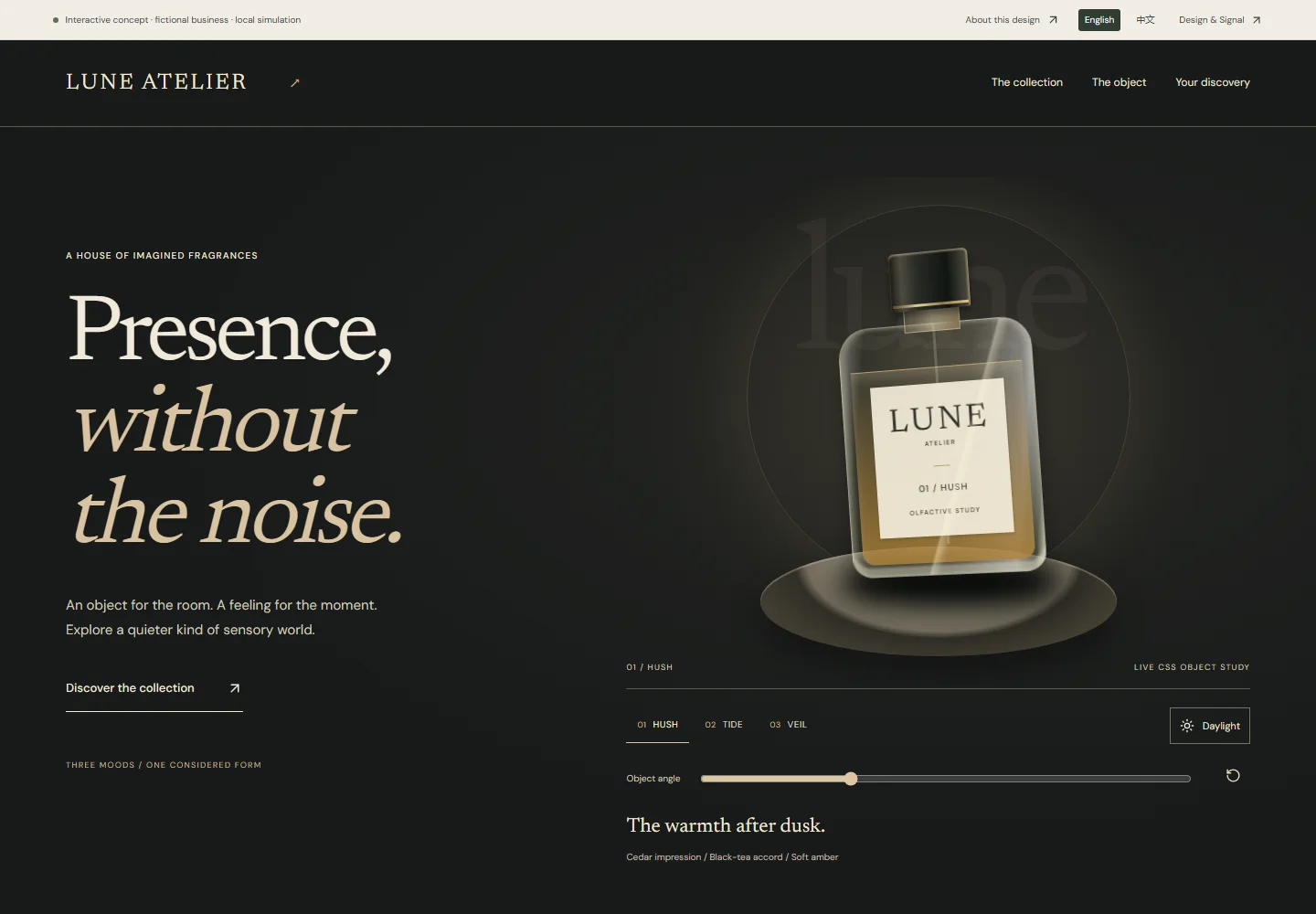 Actual desktop screenshot of this interactive concept website