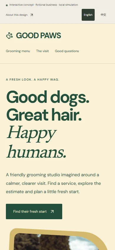 Actual mobile screenshot of this interactive concept website