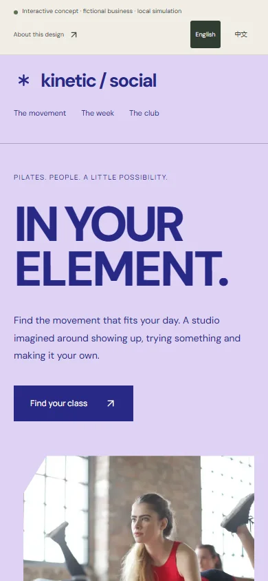 Actual mobile screenshot of this interactive concept website