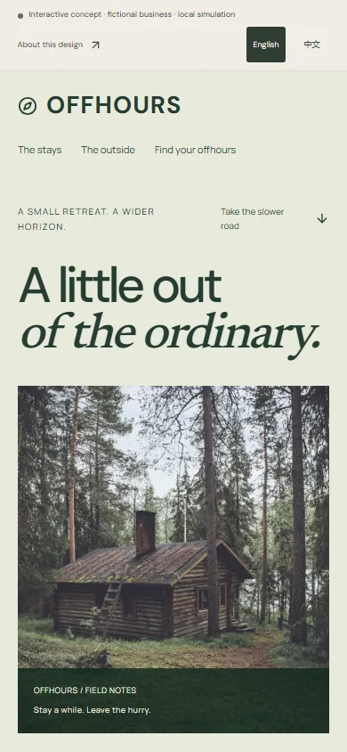 Actual mobile screenshot of this interactive concept website