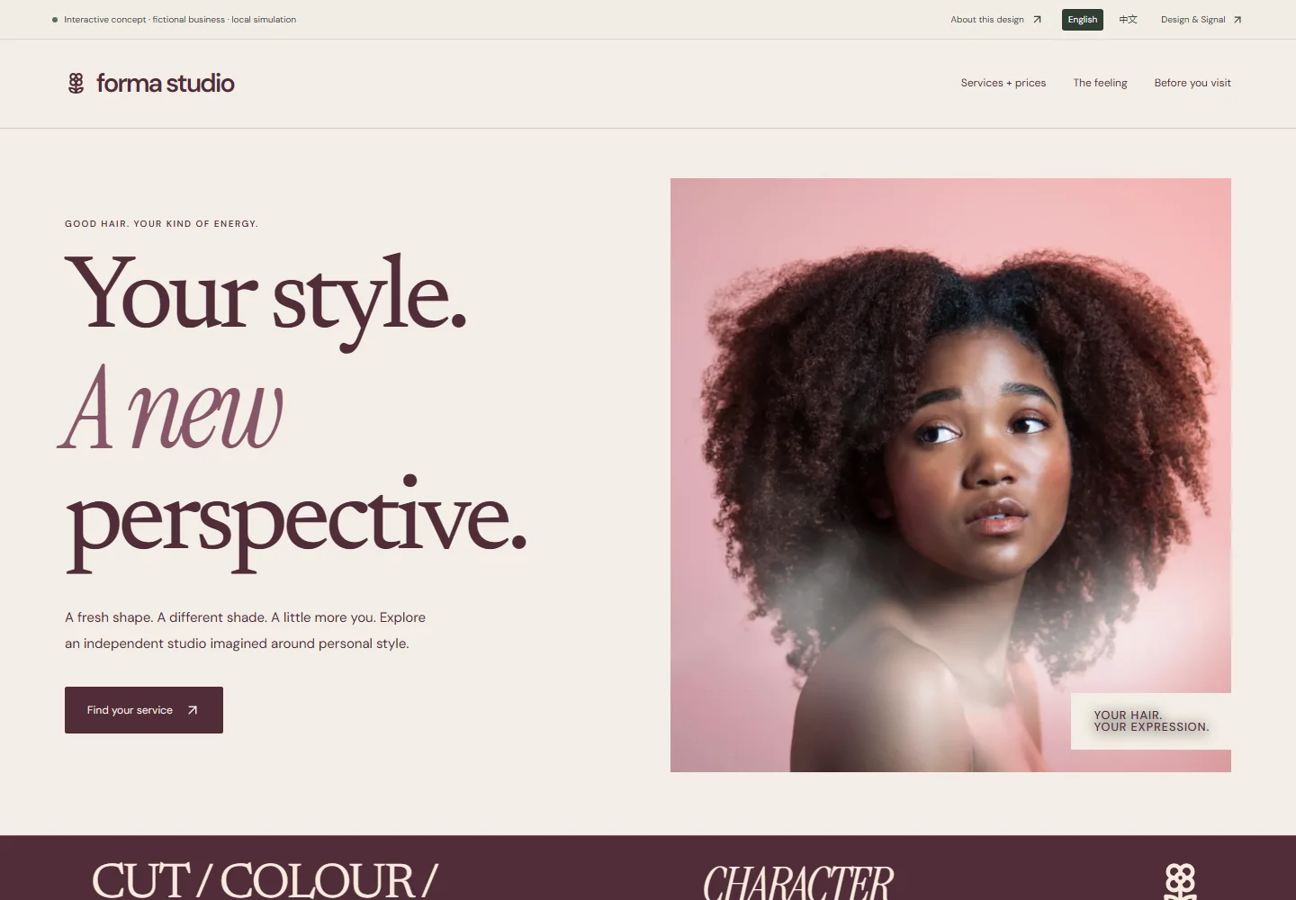 Actual desktop screenshot of this interactive concept website