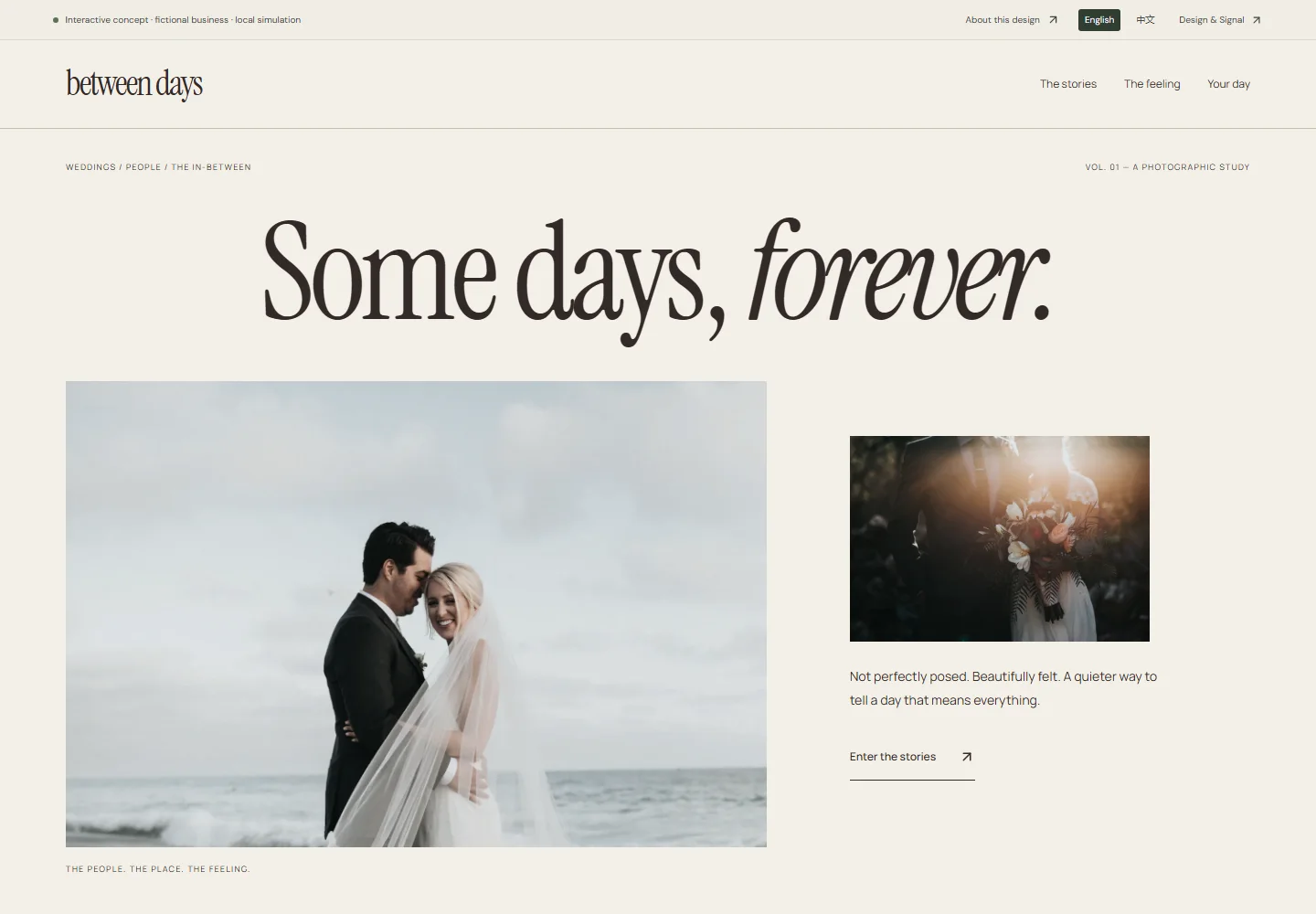 Actual desktop screenshot of this interactive concept website
